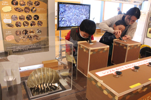 ＜写真：宍道湖グリーンパークで始まった企画展「土の中の生きもの」を楽しむ親子連れ＝23日＞