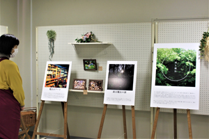 ＜写真：雲南市立加茂図書館エレベーターホールに、パネルにした写真などが展示されている＞