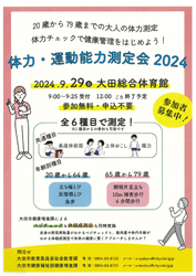 チラシより