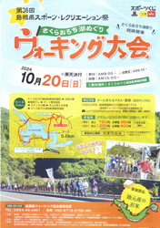チラシより
