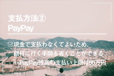 PayPay(一括払い)